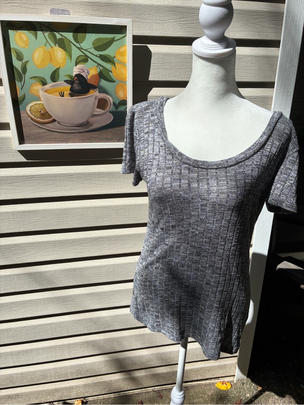 American Dream Gray Scoop Neck Short Sleeve Top